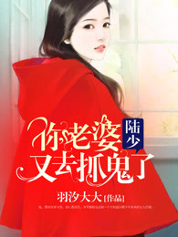 都市小说最新小说陆少,你老婆又去抓鬼了