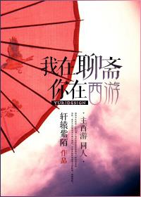 大家小说我在聊斋你在西游