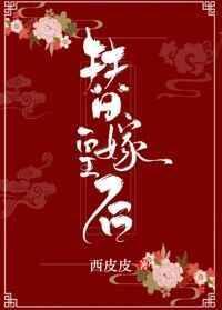 马甲小说替嫁皇后