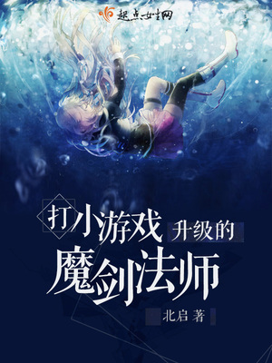 北启新书打小游戏升级的魔剑法师