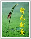 奇缘武道