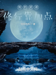 玄幻魔法最新小说我的武道修行靠加点