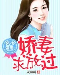 老公小说名少强宠:娇妻求放过