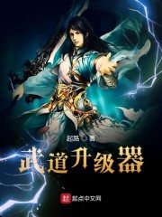 武道升级器博里