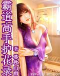 冷艳小说霸道高手护花录