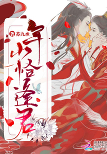 年少恰逢君小说年少恰逢君