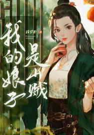娘子小说我的娘子是山贼