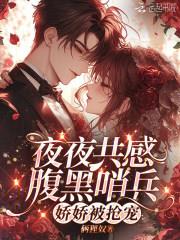 夜夜共感腹黑哨兵，娇娇被抢宠