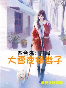 四合院：开局大雪夜捅娄子四合院