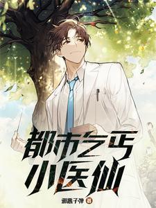 乞丐小说都市乞丐小医仙